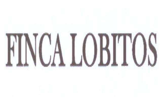 FINCA LOBITOS