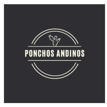 PONCHOS ANDINOS