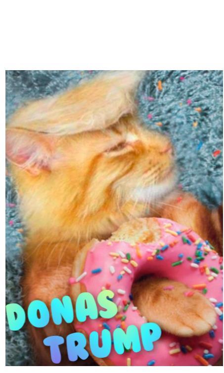 DONAS TRUMP