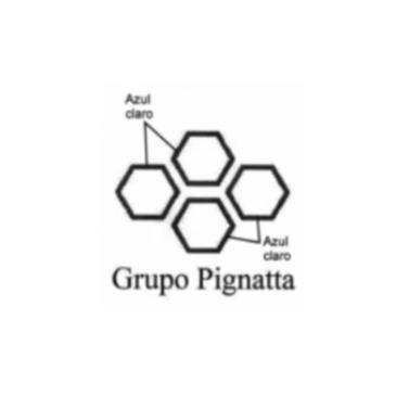 GRUPO PIGNATTA