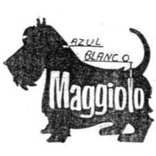 MAGGIOLO