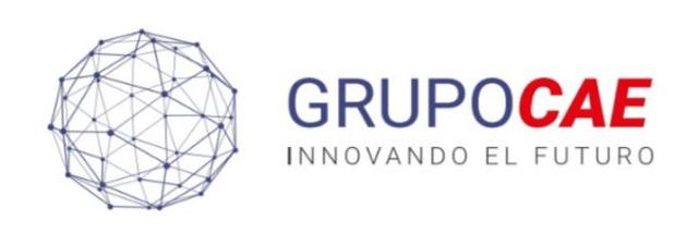 GRUPO CAE INNOVANDO EL FUTURO