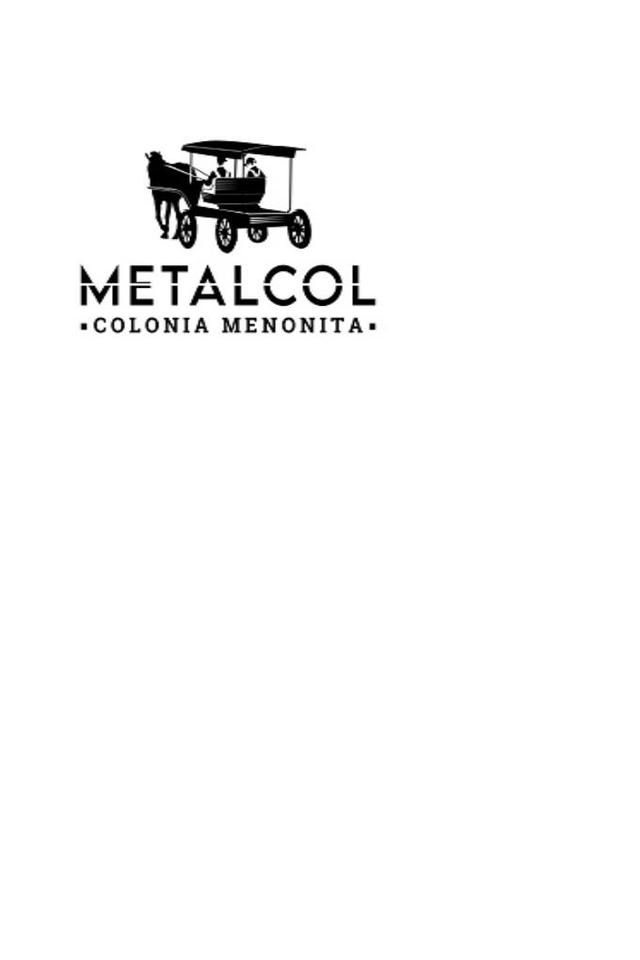 METALCOL COLONIA MENONITA