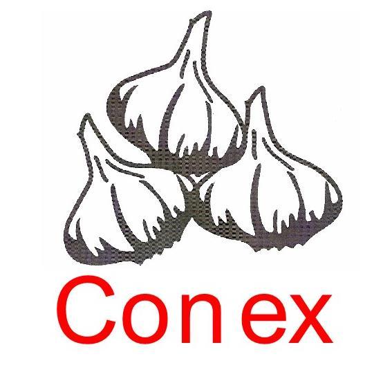 CONEX