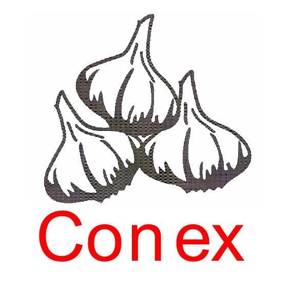 CONEX