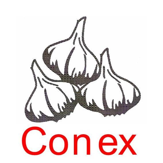 CONEX