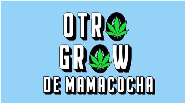 OTRO GROW DE MAMACOCHA