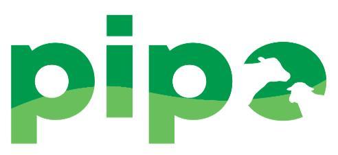 PIPO