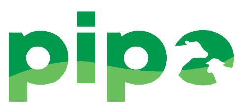 PIPO