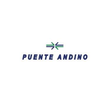 PUENTE ANDINO