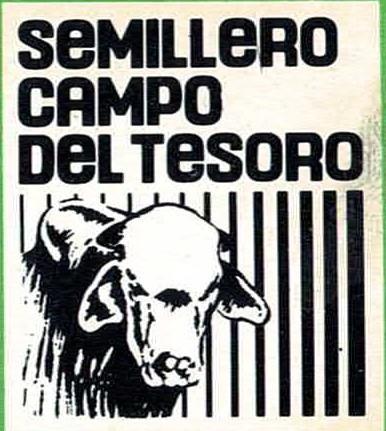 SEMILLERO CAMPO DEL TESORO