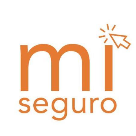 MI SEGURO