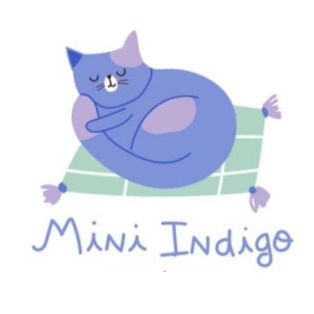 MINI INDIGO