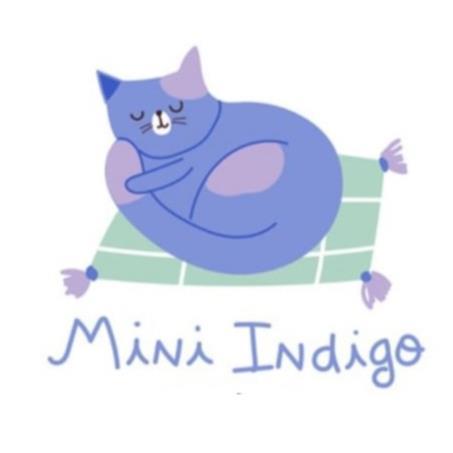 MINI INDIGO