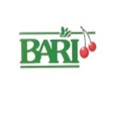 BARI