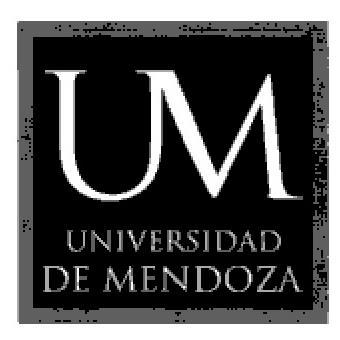 UM UNIVERSIDAD DE MENDOZA