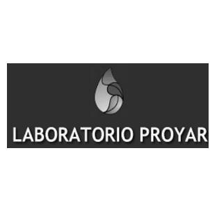 LABORATORIO PROYAR