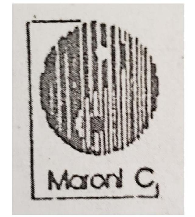 MARONI C