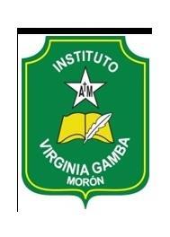 INSTITUTO VIRGINIA GAMBA MORON