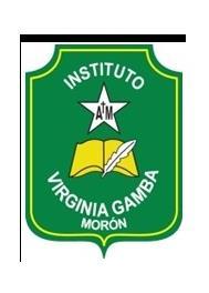 INSTITUTO VIRGINIA GAMBA MORON