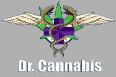 DR. CANNABIS