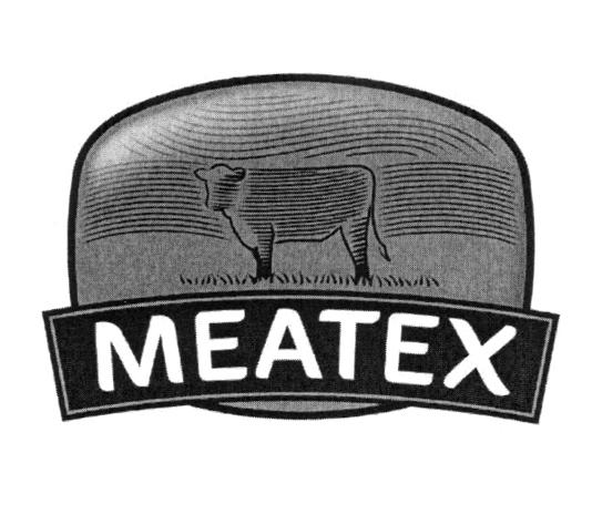 MEATEX