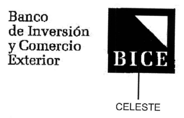 BICE BANCO DE INVERSION Y COMERCIO EXTERIOR