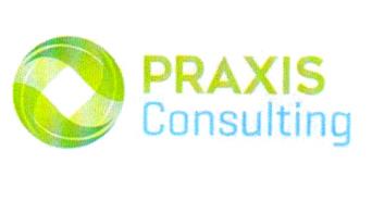 PRAXIS CONSULTING
