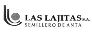 LAS LAJITAS S.A. SEMILLERO DE ANTA