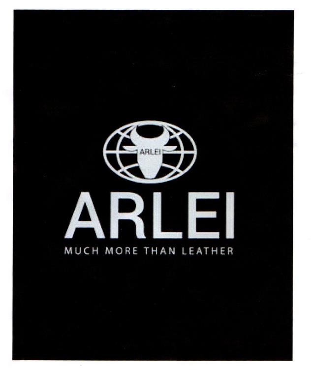 ARLEI MUCH MORE THAN LEATHER