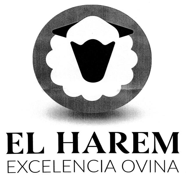 EL HAREM EXCELENCIA OVINA