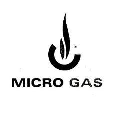 MICRO GAS