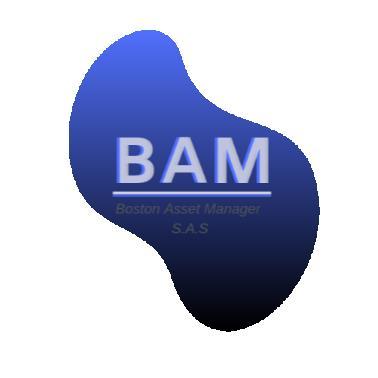 BAM BOSTON ASSET MANAGER S.A.S