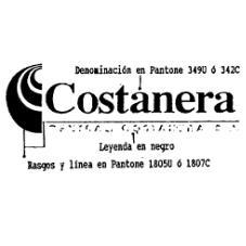 COSTANERA CENTRAL COSTANERA S.A.