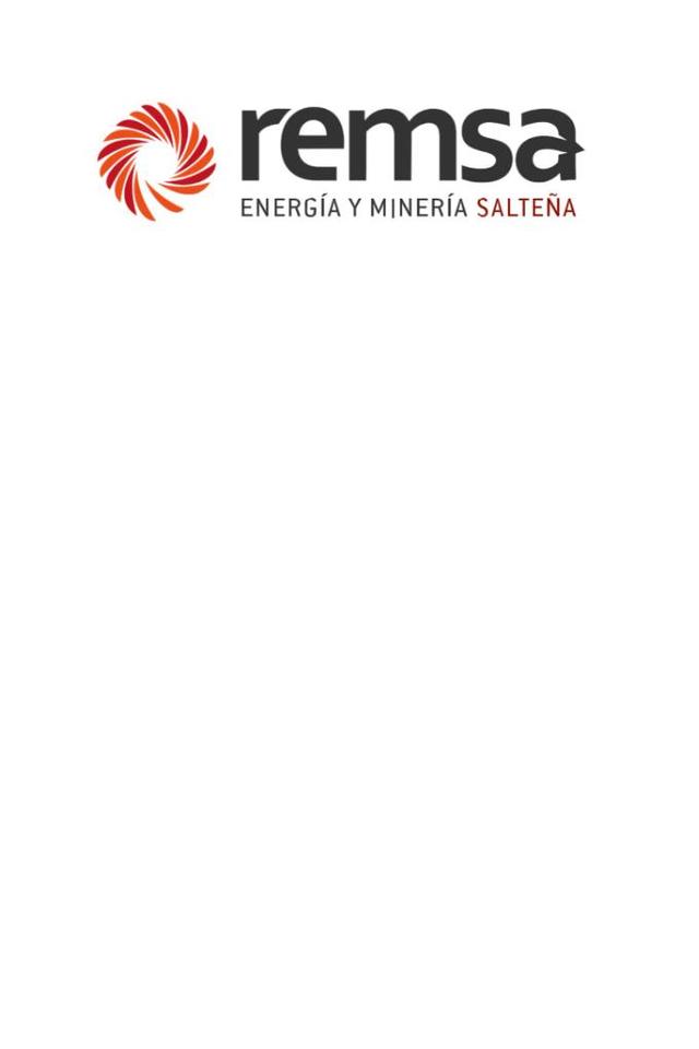 REMSA ENERGIA Y MINERIA SALTEÑA